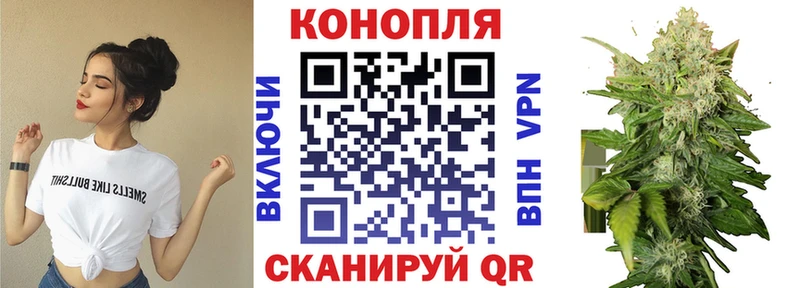 Где найти наркотики Калтан Бошки Шишки Cocaine Гашиш Меф