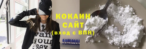 молекула духа Алексин